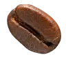image_text_illustrator_0