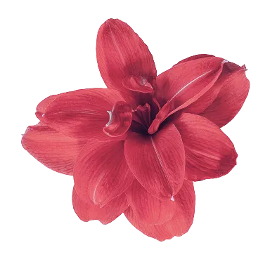 aromatic_right